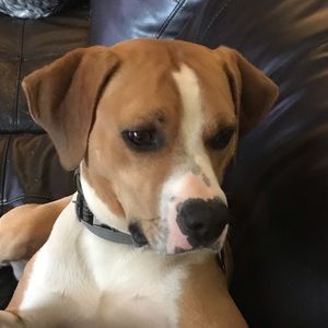 Meet your Posher, Jill